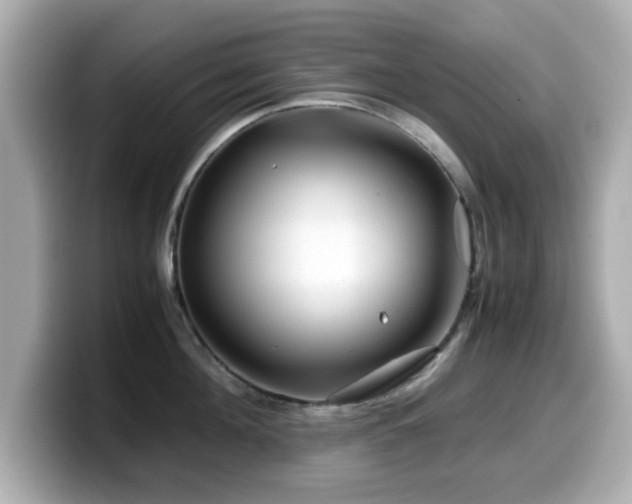 X0000099990908200805231450