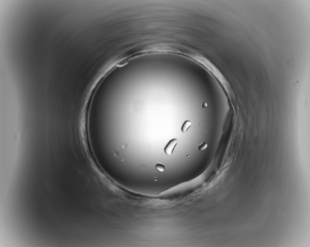 X0000099990909200805231450