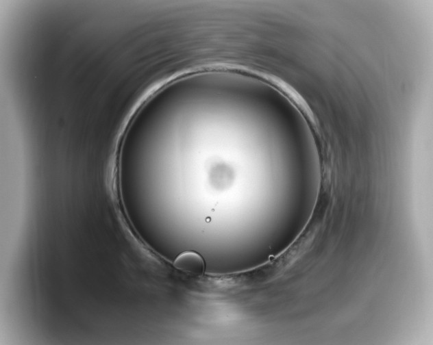 X0000099990911200805231450