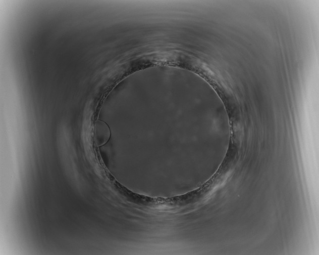 X0000099990913200805231449