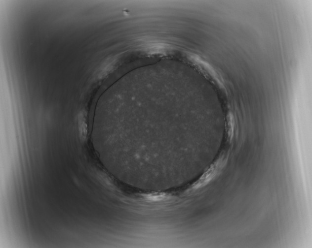 X0000099990916200805231449