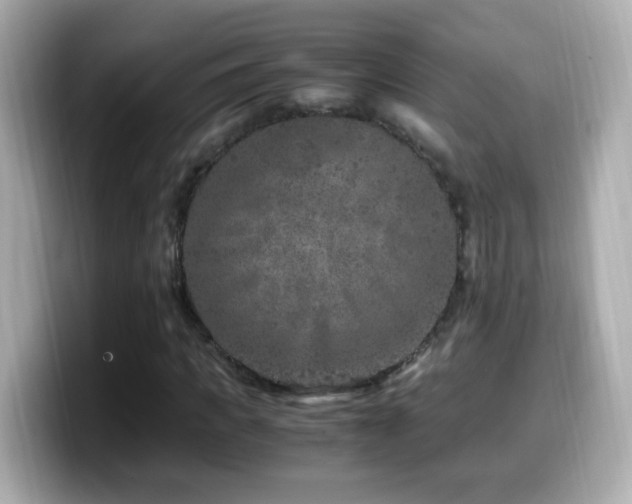 X0000099990917200805231449