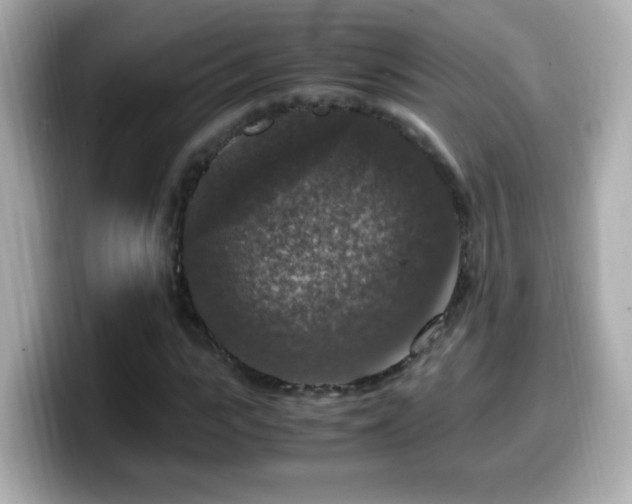X0000099990919200805231449