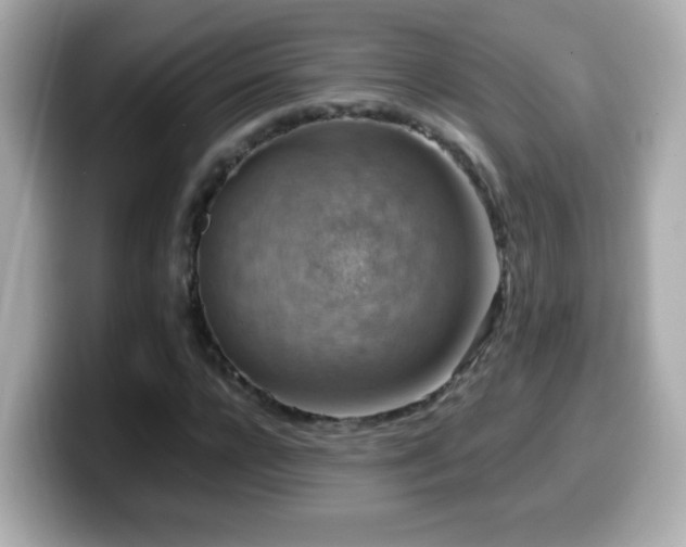 X0000099990920200805231449