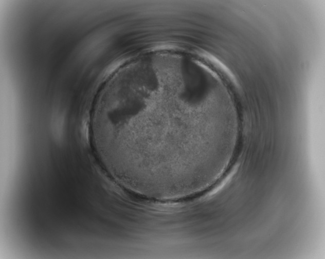 X0000099990921200805231450