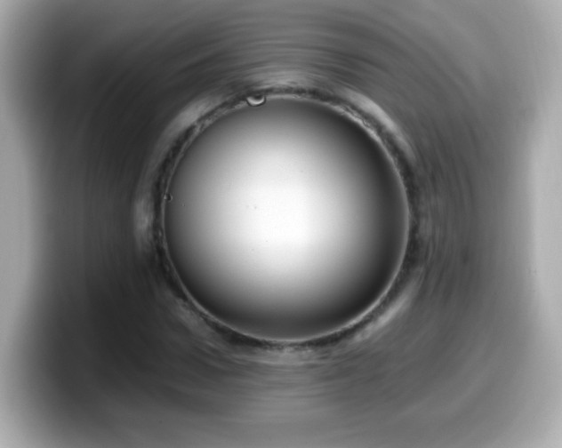 X0000099990922200805231450