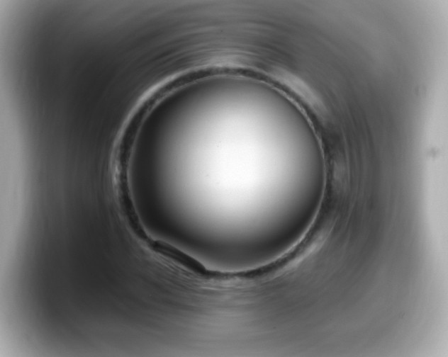X0000099990926200805231450