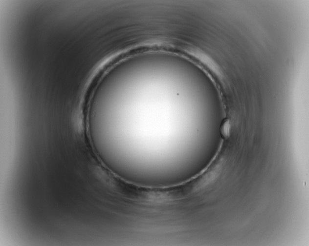 X0000099990927200805231450