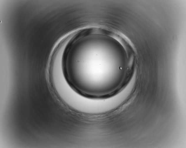 X0000099990928200805231450