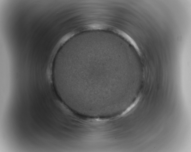 X0000099990930200805231450