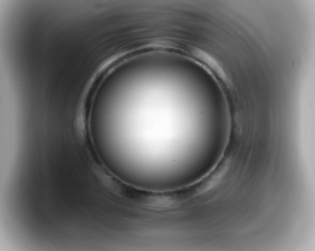 X0000099990931200805231450