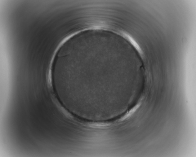 X0000099990932200805231450