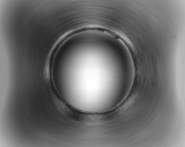 X0000099990934200805231450