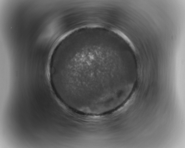 X0000099990935200805231450