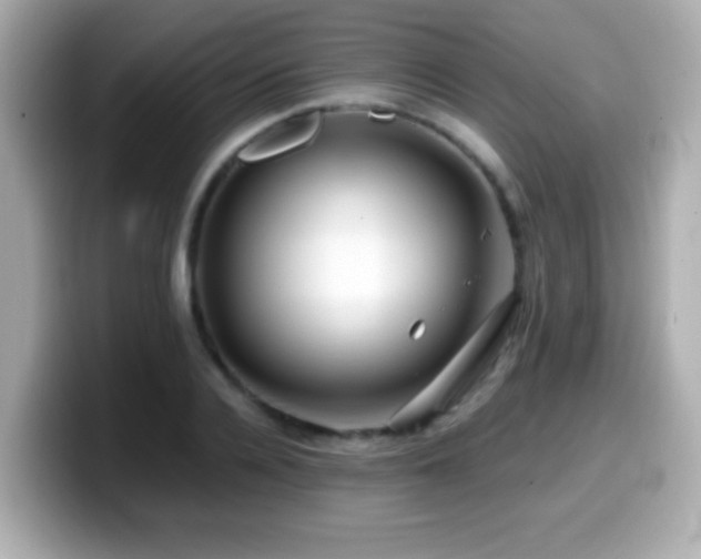 X0000099990936200805231450