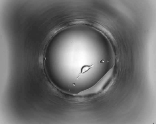 X0000099990937200805231450