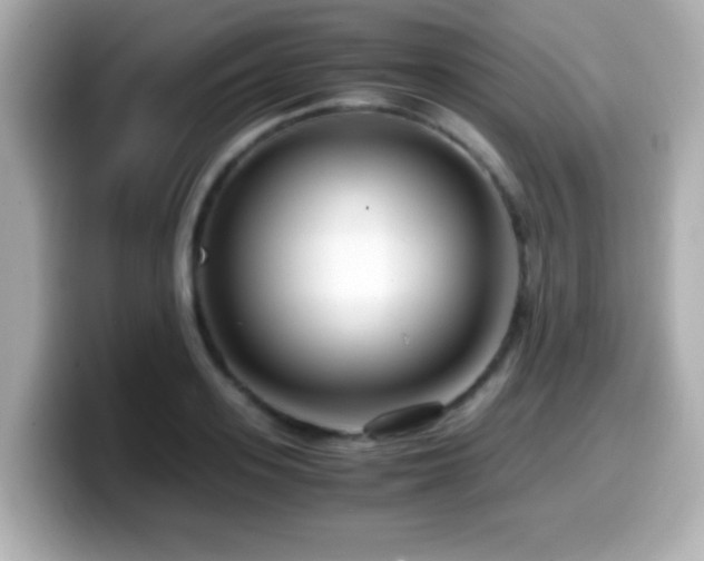 X0000099990939200805231450