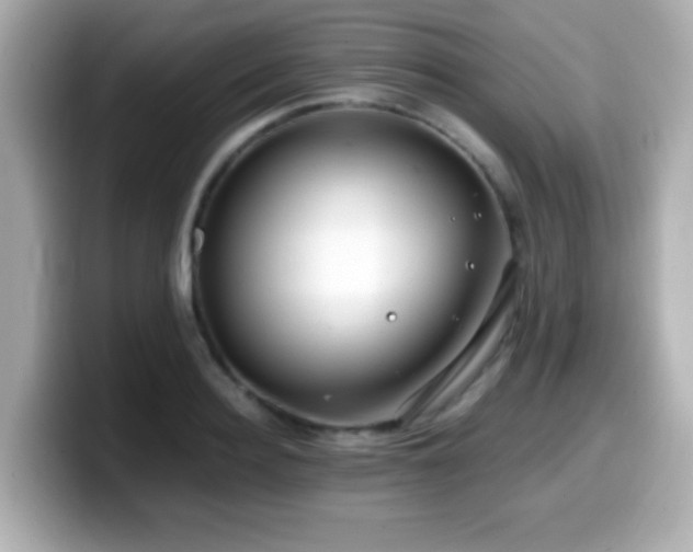 X0000099990940200805231450