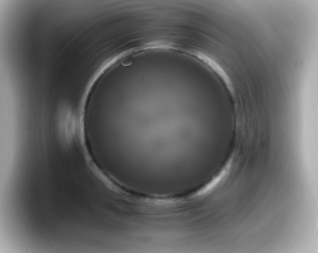 X0000099990941200805231450