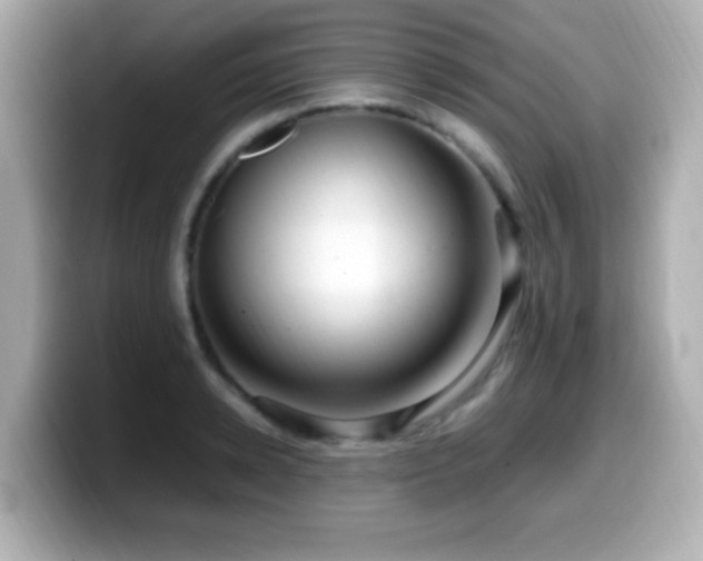 X0000099990942200805231450