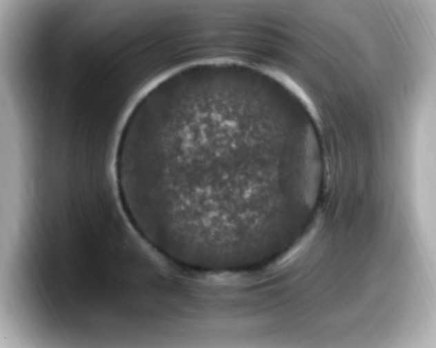X0000099990943200805231450