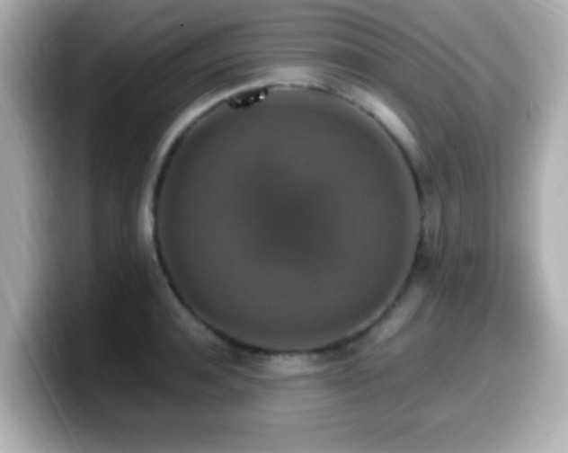 X0000099990944200805231450