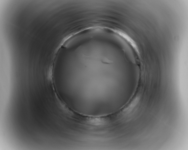 X0000099990945200805231450