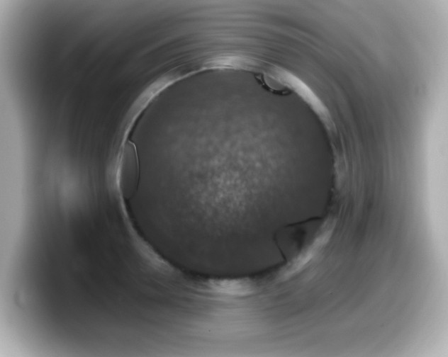X0000099990946200805231450