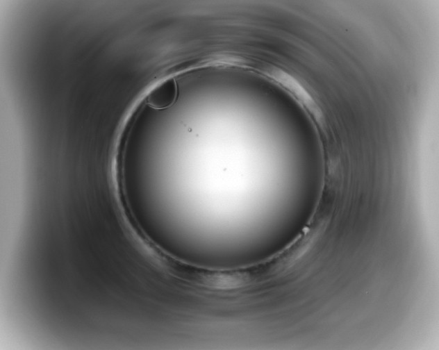 X0000099990947200805231450