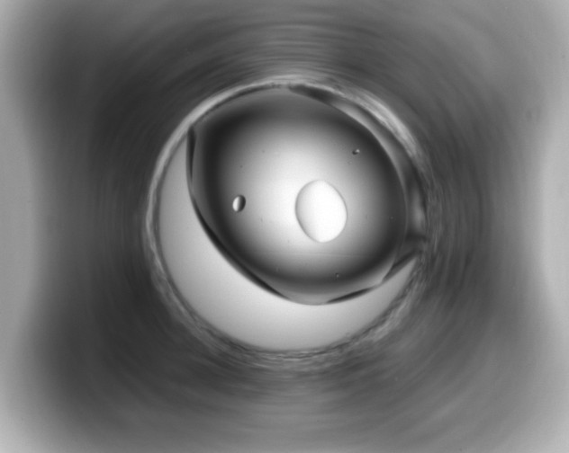 X0000099990948200805231450