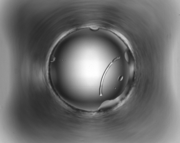 X0000099990949200805231450