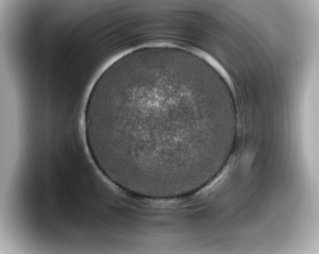 X0000099990951200805231450