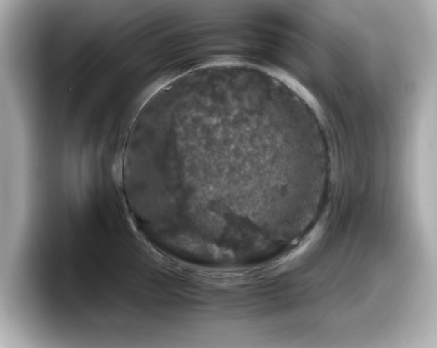 X0000099990953200805231450