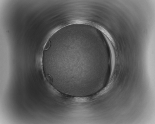 X0000099990954200805231450
