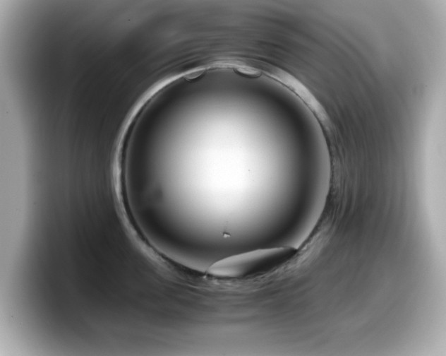 X0000099990955200805231450
