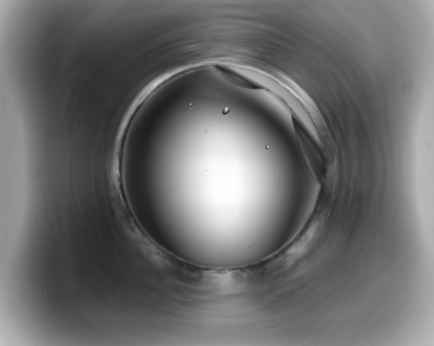 X0000099990956200805231450