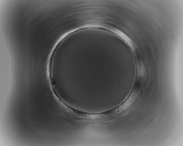 X0000099990958200805231450