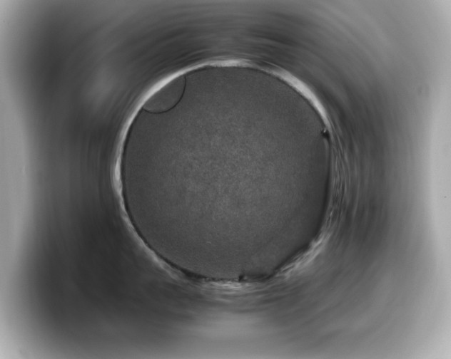 X0000099990959200805231450