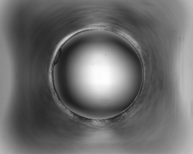 X0000099990960200805231450