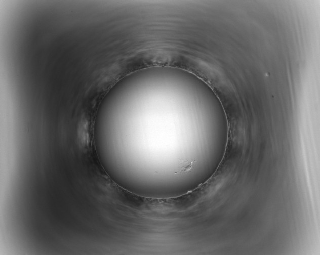 X0000099990962200805231449