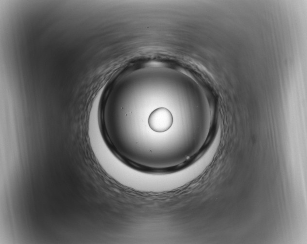X0000099990965200805231449