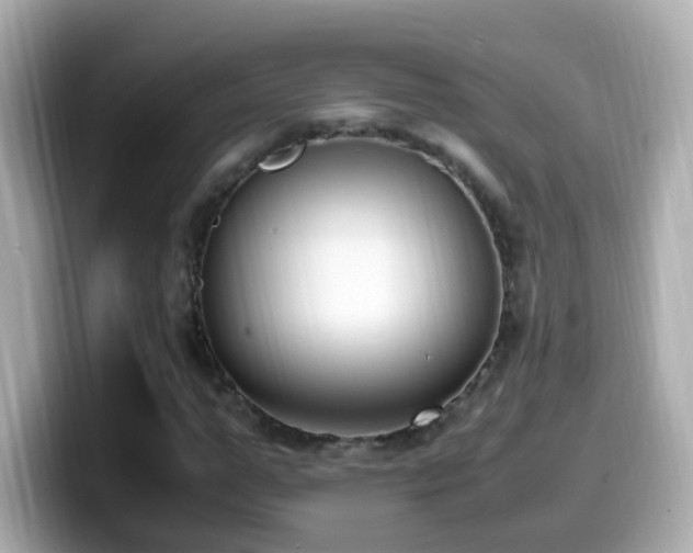 X0000099990967200805231449