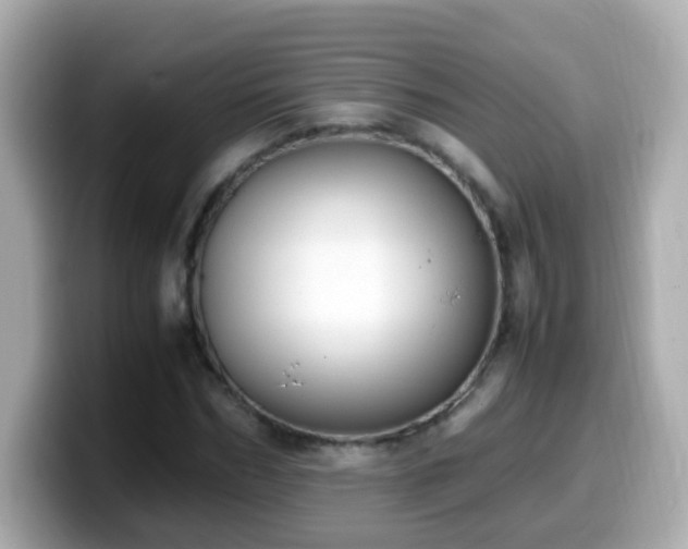 X0000099990970200805231449