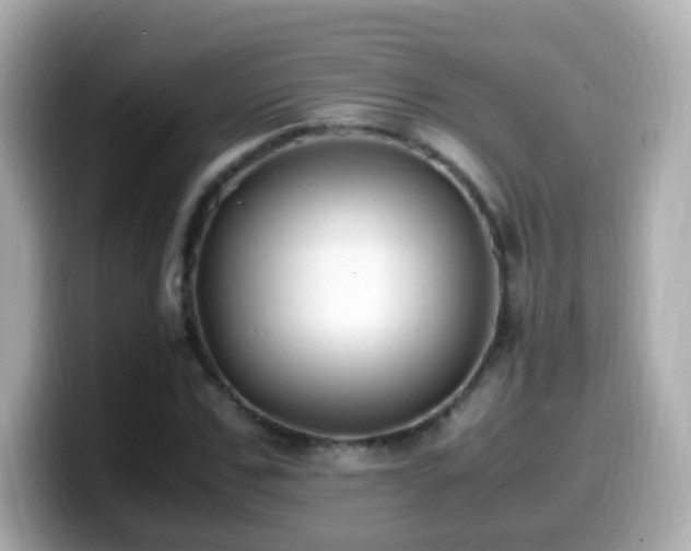 X0000099990971200805231449