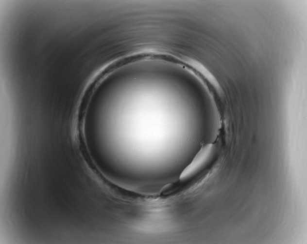 X0000099990972200805231449