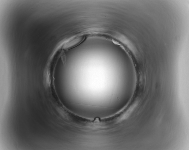 X0000099990973200805231449