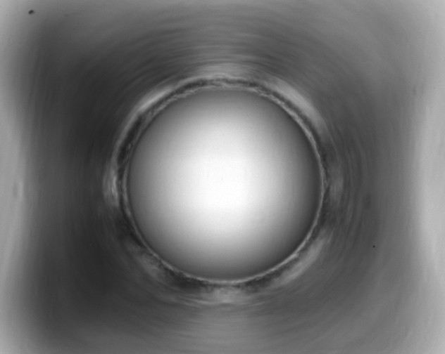 X0000099990974200805231449