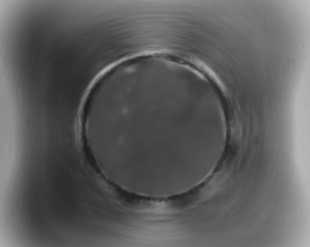 X0000099990975200805231449