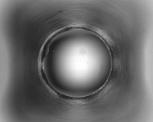 X0000099990976200805231449