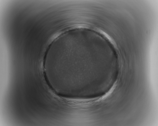 X0000099990977200805231449